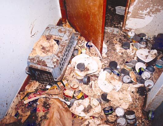 Animal hoarding