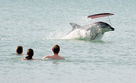 Czy zwierzeta maj� dusz�?