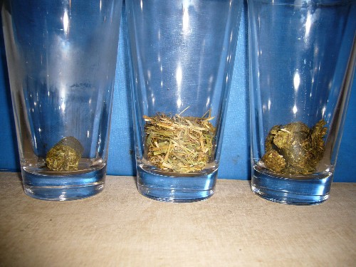 Granulat dla kr�lika