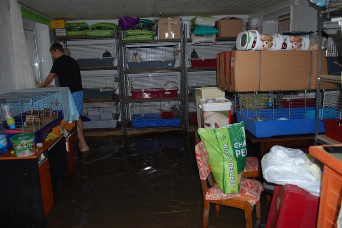 miniaturkabeztajemnic.com