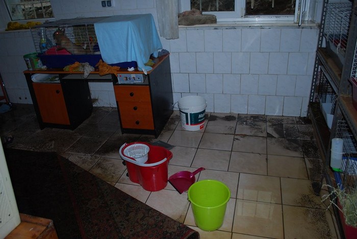 miniaturkabeztajemnic.com