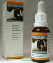 Pasty odk�aczaj�ce dla kr�lik�w