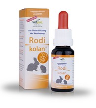 Pasty odk�aczaj�ce dla kr�lik�w