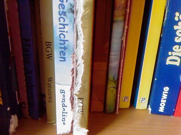 Czy kr�lik jest szkodnikiem