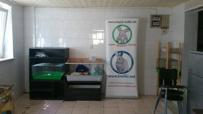 miniaturkabeztajemnic.com