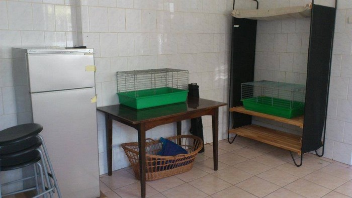 miniaturkabeztajemnic.com