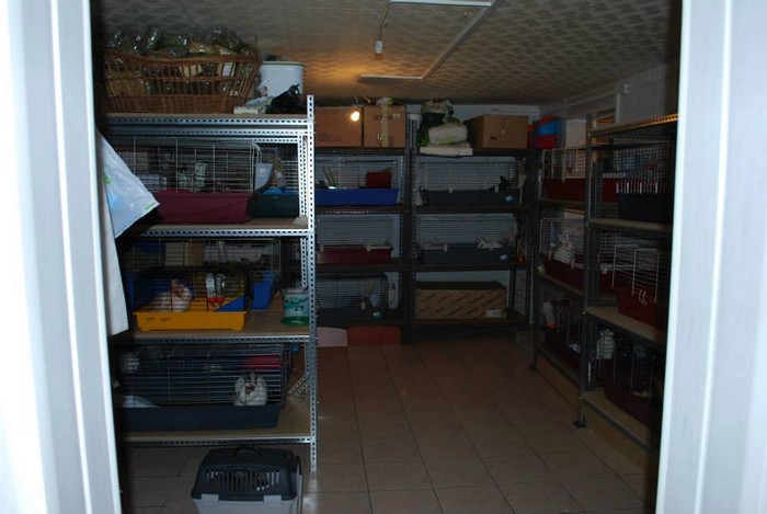 miniaturkabeztajemnic.com