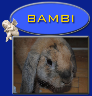 Bambi
