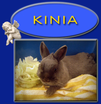 Kinia