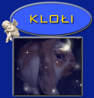 Klo�i