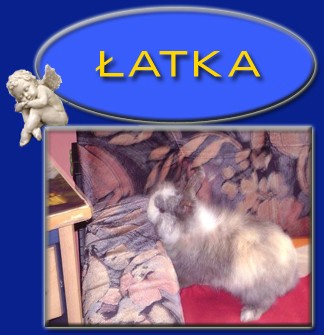 �atka