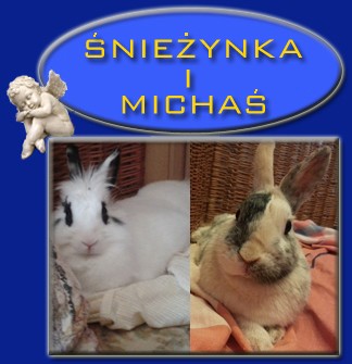 �niezynka i Micha�