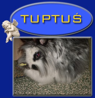 Tuptus