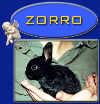 Zorru�