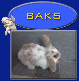 Baks