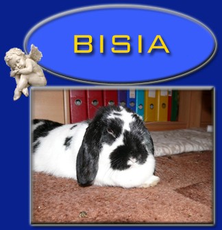 Bisia
