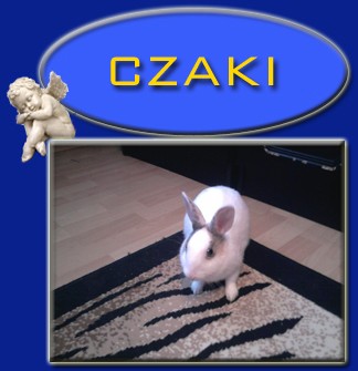 Czaki