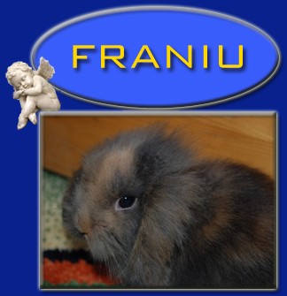 Franiu