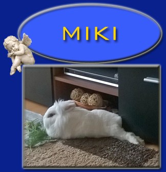 Miki