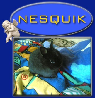 Nesquik
