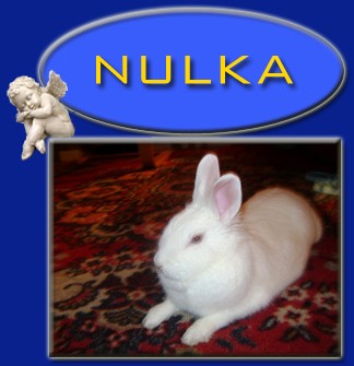 Nulka
