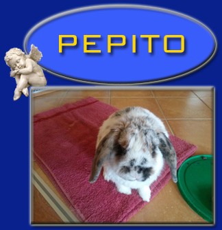 Pepito