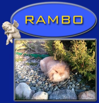 Rambo