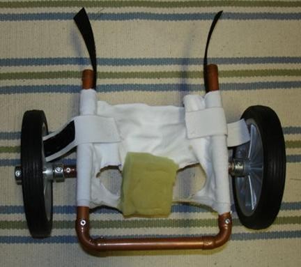 Jak zrobić wózek inwalidzki dla królika