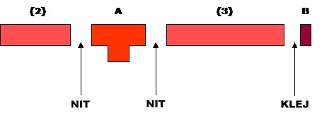 Jak zrobić wózek inwalidzki dla królika