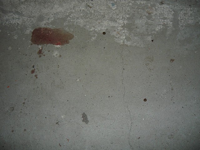 Zakatowany kr�liczek