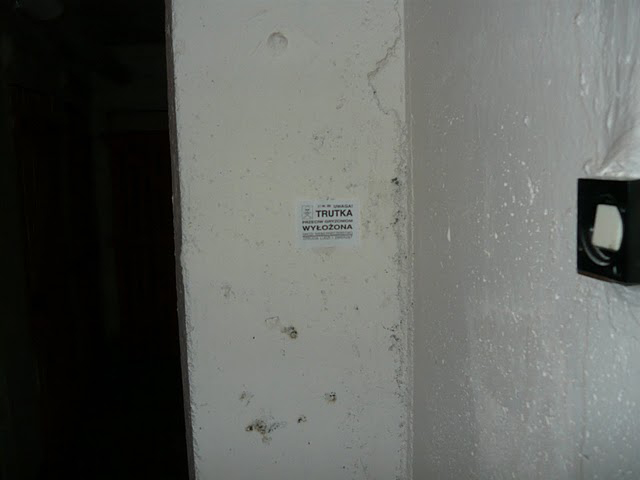 Zakatowany kr�liczek