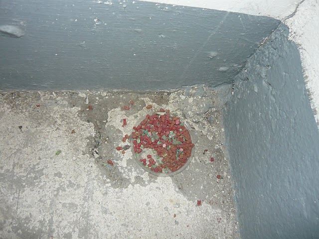 Zakatowany kr�liczek