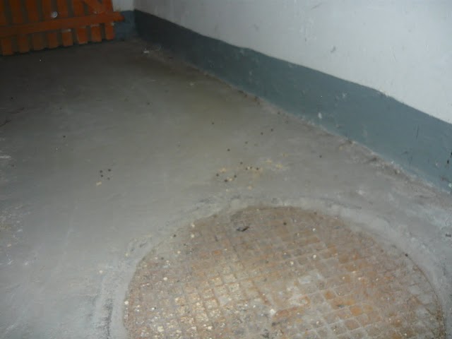 Zakatowany kr�liczek